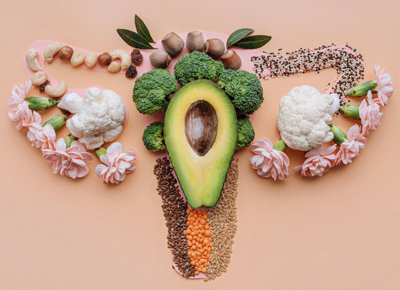 A visual diagram of vegetables and flowers shaped  as a woman’s reproductive organs